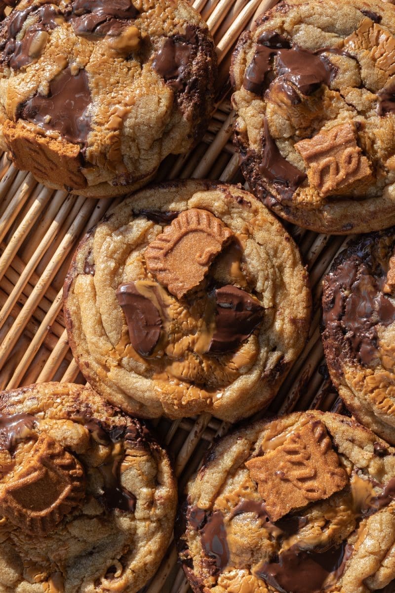 Close up of a biscoff chocolate chip cookie.