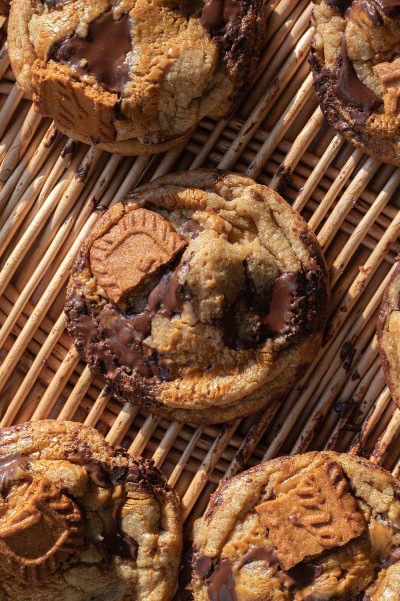 Close up of a biscoff chocolate chip cookie
