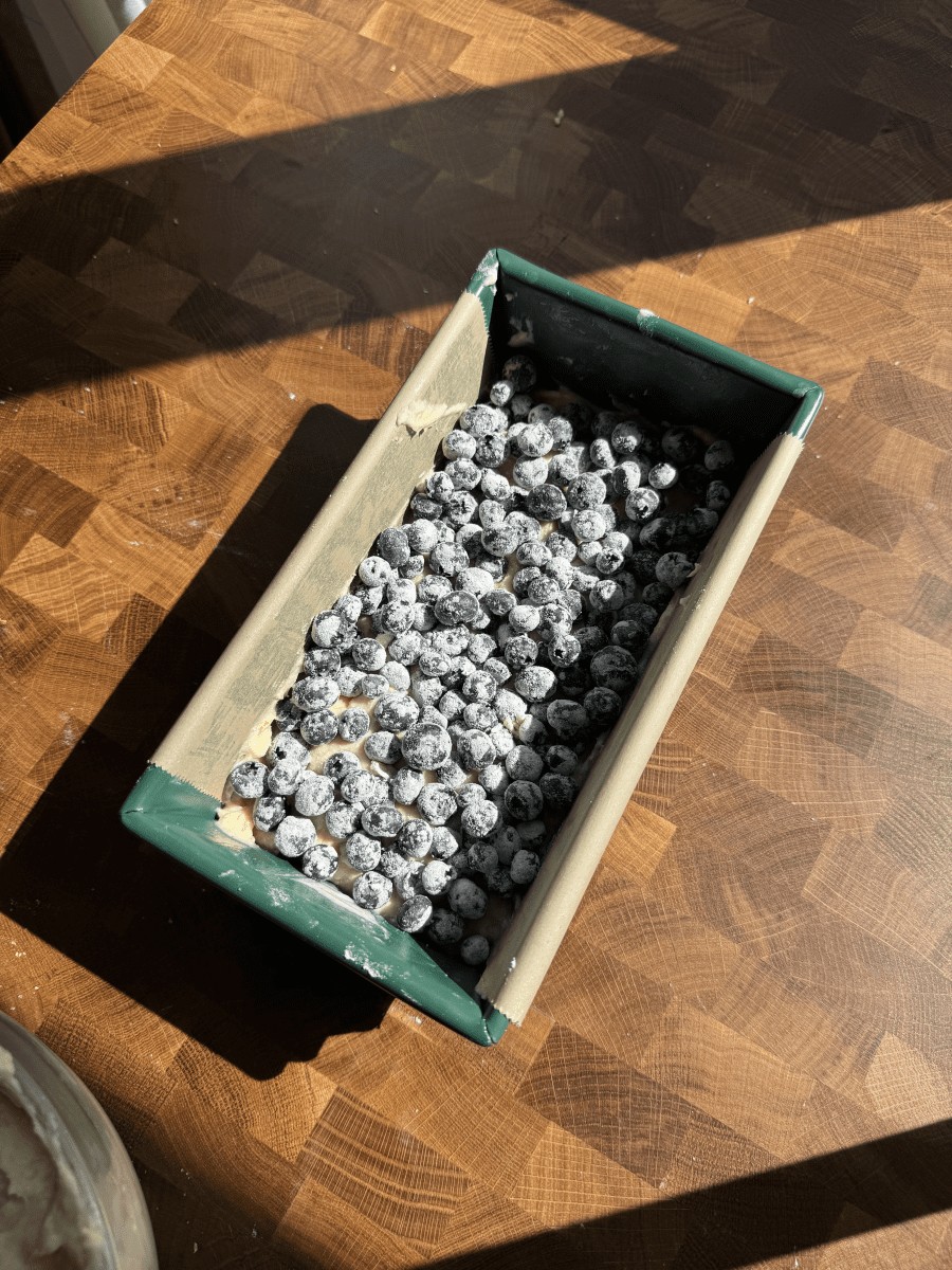Blueberries layered in a loaf pan.
