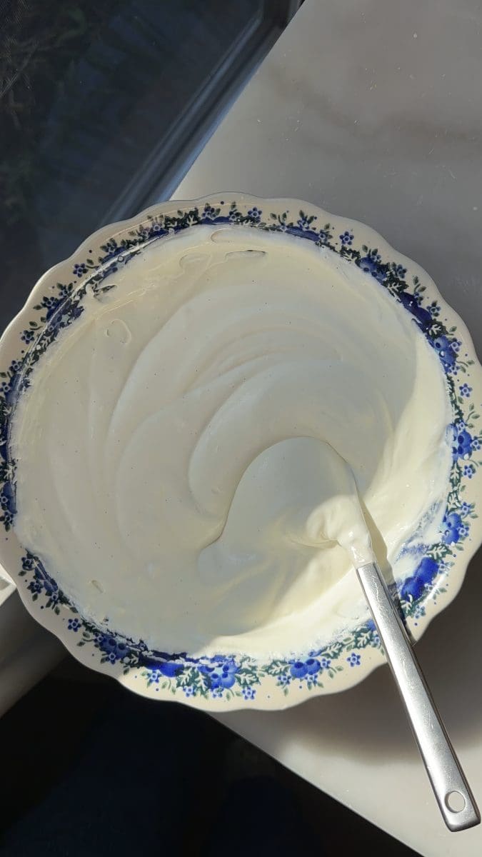 The finished vanilla ice cream.
