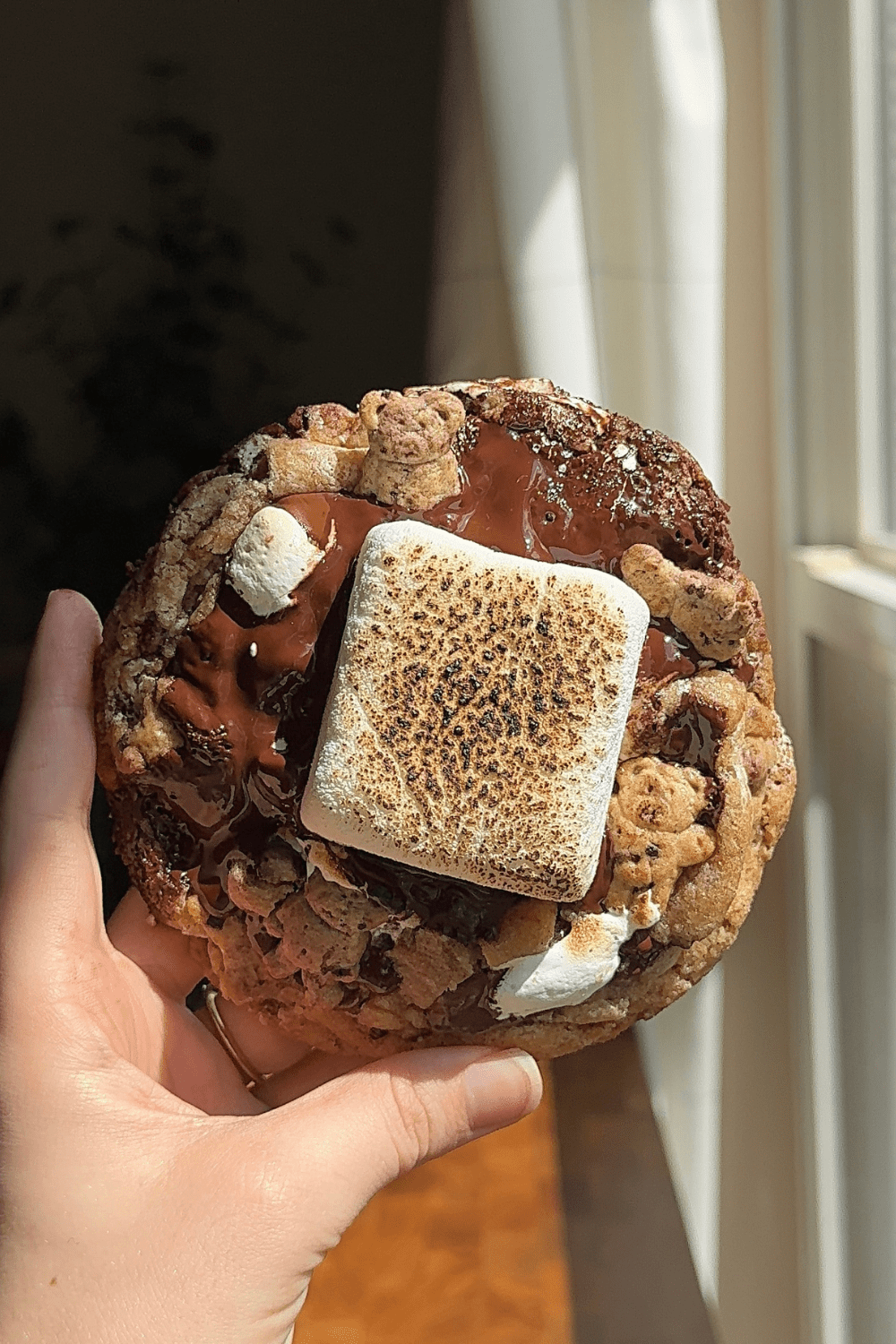 Single Serve S’mores Cookie