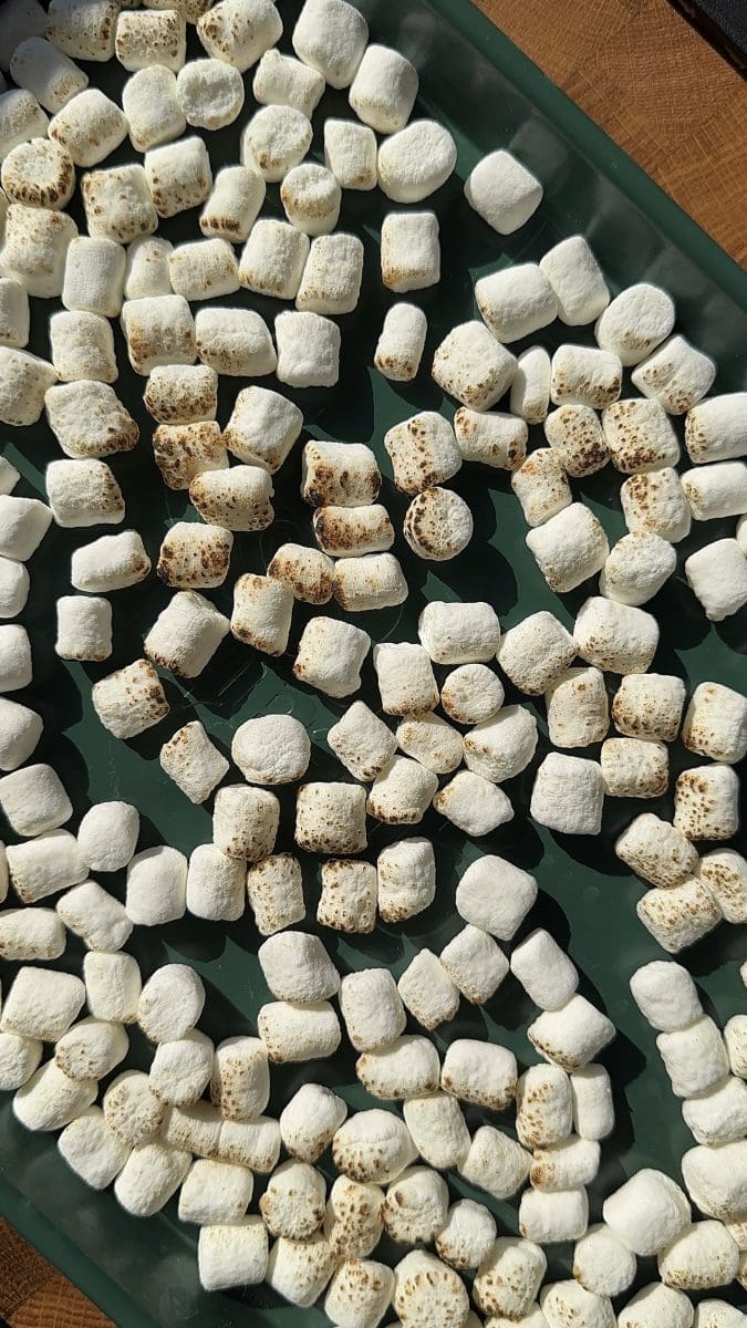 Toasted mini marshmallows.