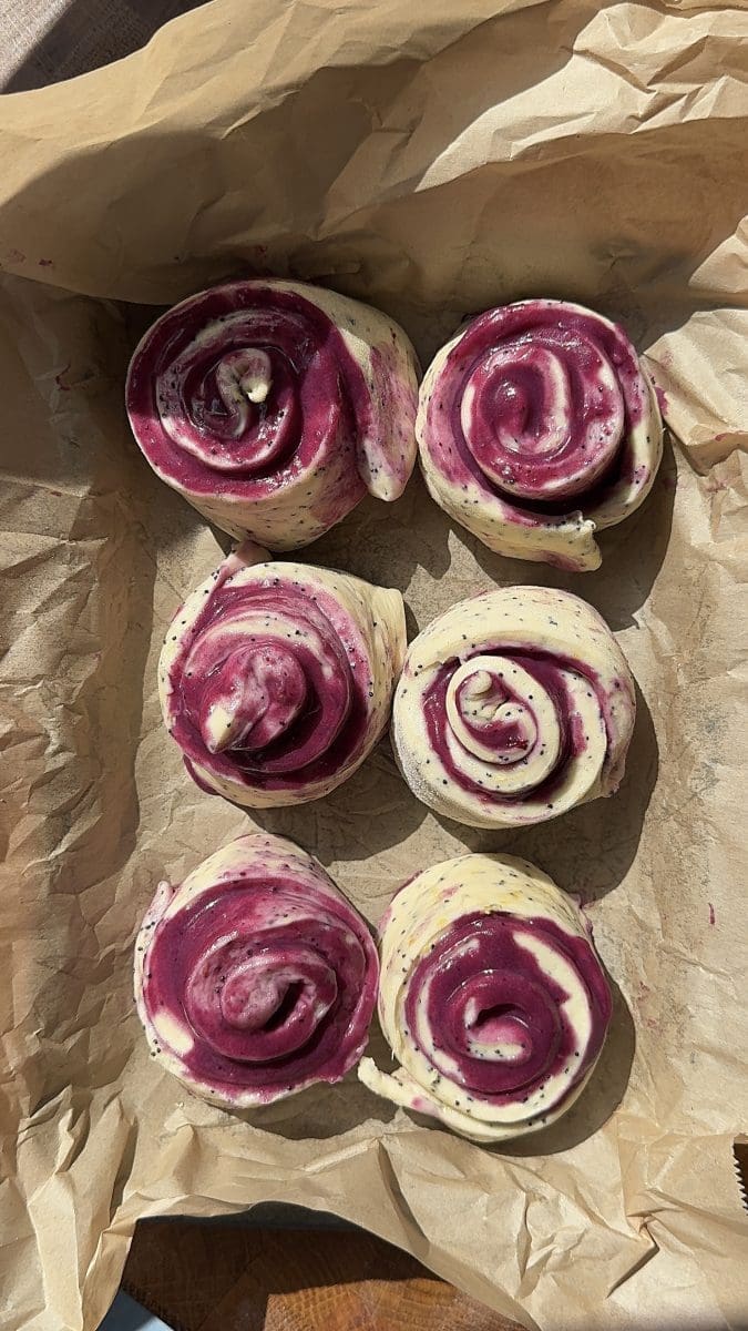 The rolls on a tray before baking.